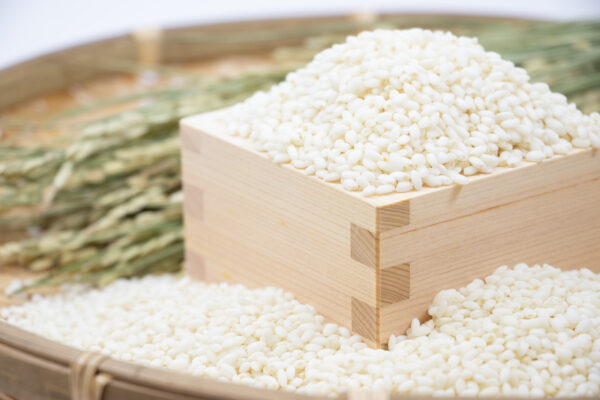 令和7年産　新潟県産こがねもち（玄米）