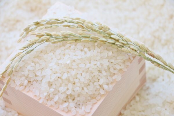 令和7年産　新潟県産にじのきらめき（玄米）